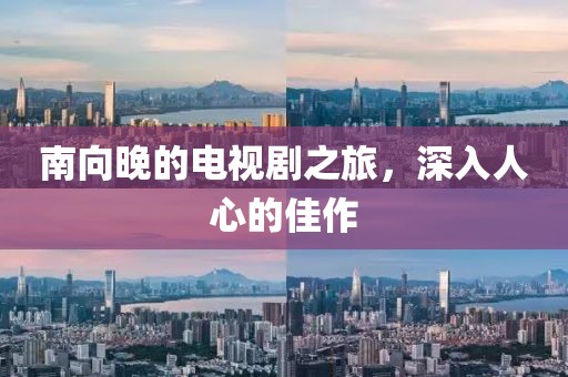 南向晚的电视剧之旅，深入人心的佳作