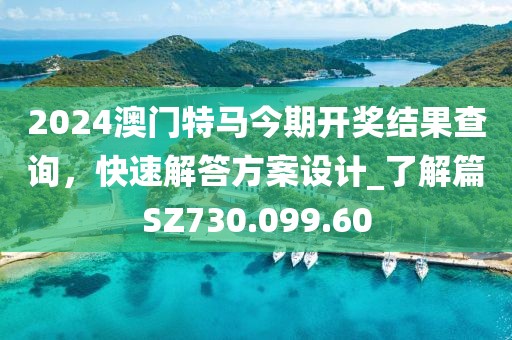 2024澳门特马今期开奖结果查询，快速解答方案设计_了解篇SZ730.099.60