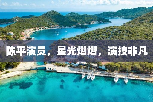 陈平演员，星光熠熠，演技非凡