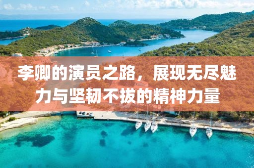 李卿的演员之路，展现无尽魅力与坚韧不拔的精神力量
