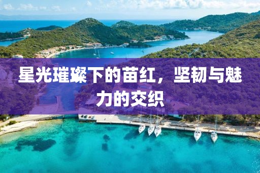 星光璀璨下的苗红，坚韧与魅力的交织
