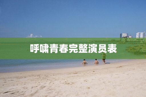 呼啸青春完整演员表
