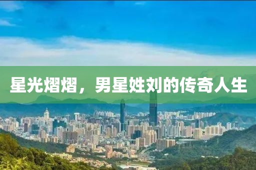 星光熠熠，男星姓刘的传奇人生