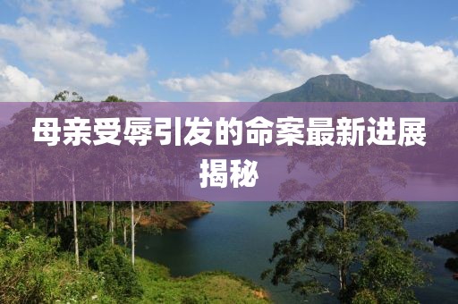 母亲受辱引发的命案最新进展揭秘