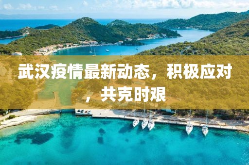 武汉疫情最新动态，积极应对，共克时艰