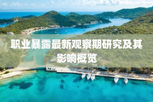 职业暴露最新观察期研究及其影响概览