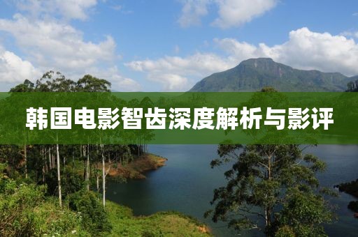 韩国电影智齿深度解析与影评