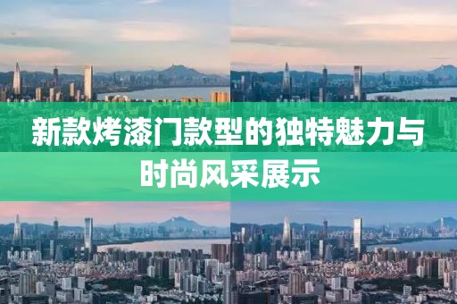 新款烤漆门款型的独特魅力与时尚风采展示