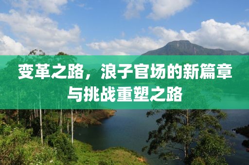 变革之路，浪子官场的新篇章与挑战重塑之路