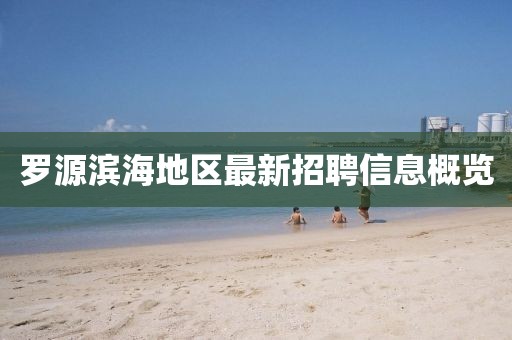 罗源滨海地区最新招聘信息概览