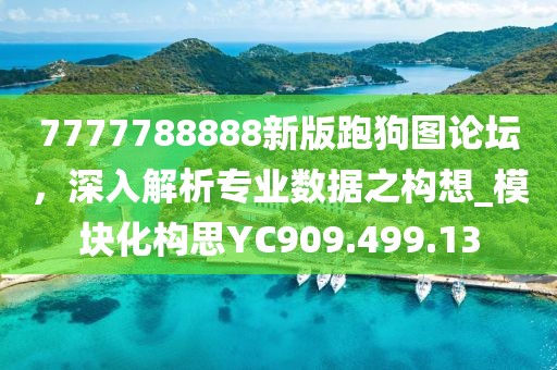 7777788888新版跑狗图论坛，深入解析专业数据之构想_模块化构思YC909.499.13