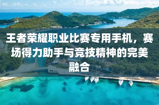 王者荣耀职业比赛专用手机，赛场得力助手与竞技精神的完美融合