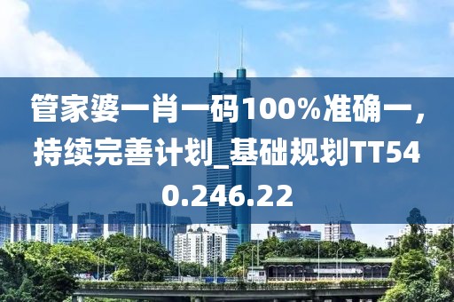 管家婆一肖一码100%准确一，持续完善计划_基础规划TT540.246.22