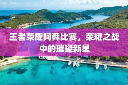 王者荣耀阿舜比赛，荣耀之战中的璀璨新星