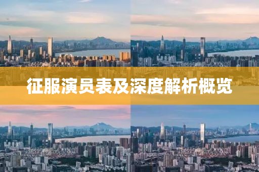 征服演员表及深度解析概览