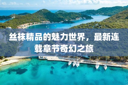 丝袜精品的魅力世界，最新连载章节奇幻之旅
