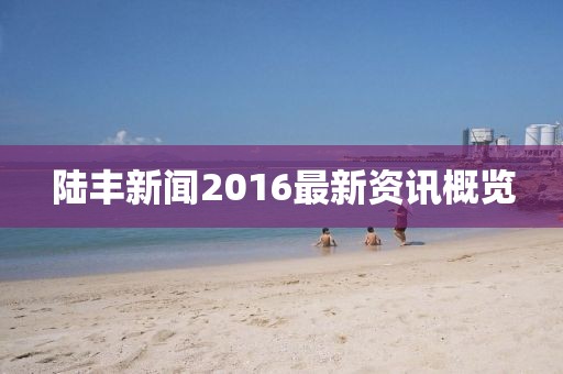 陆丰新闻2016最新资讯概览