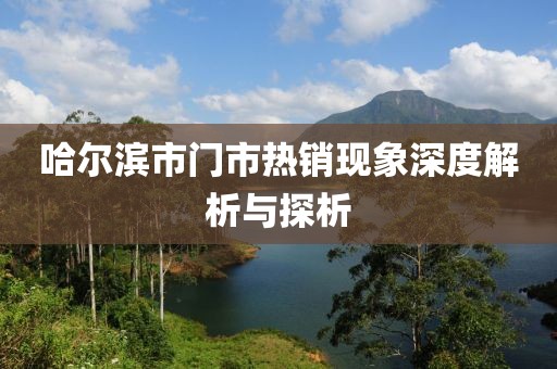 哈尔滨市门市热销现象深度解析与探析