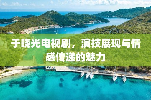 于晓光电视剧，演技展现与情感传递的魅力