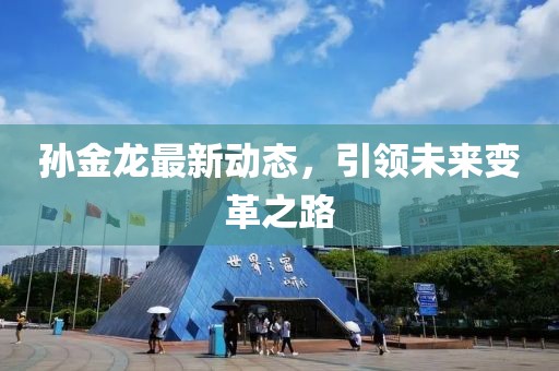 孙金龙最新动态，引领未来变革之路