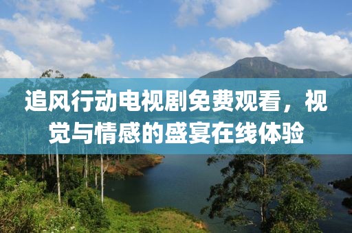 追风行动电视剧免费观看，视觉与情感的盛宴在线体验