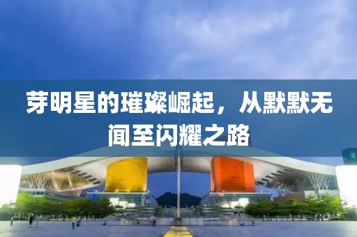 芽明星的璀璨崛起，从默默无闻至闪耀之路
