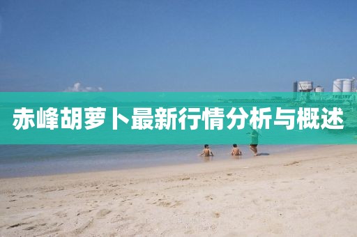 赤峰胡萝卜最新行情分析与概述