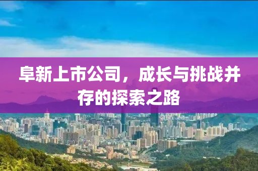 阜新上市公司，成长与挑战并存的探索之路