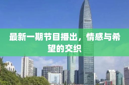 最新一期节目播出，情感与希望的交织