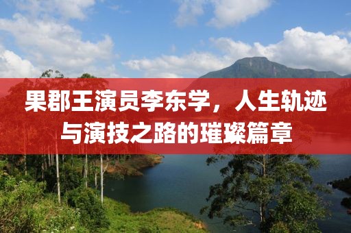 果郡王演员李东学，人生轨迹与演技之路的璀璨篇章