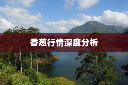 香葱行情深度分析