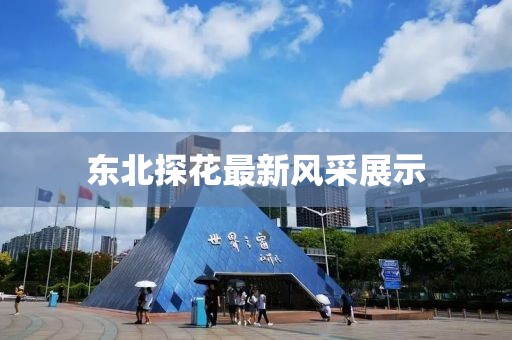 东北探花最新风采展示