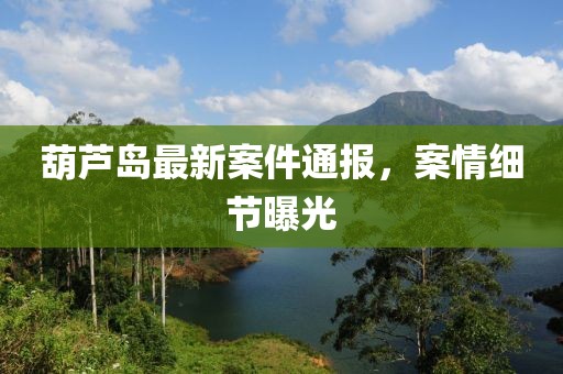 葫芦岛最新案件通报，案情细节曝光