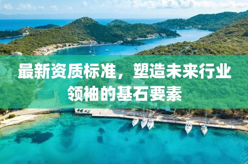 最新资质标准，塑造未来行业领袖的基石要素