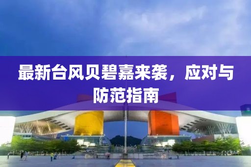 最新台风贝碧嘉来袭，应对与防范指南