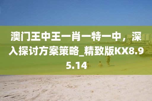 澳门王中王一肖一特一中，深入探讨方案策略_精致版KX8.95.14