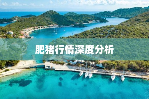 肥猪行情深度分析