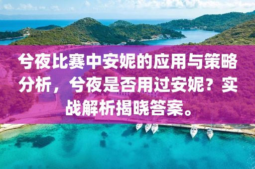 兮夜比赛中安妮的应用与策略分析，兮夜是否用过安妮？实战解析揭晓答案。