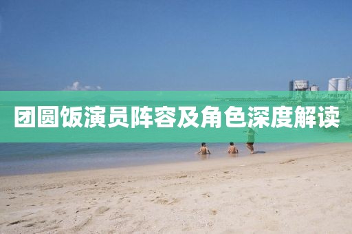 团圆饭演员阵容及角色深度解读