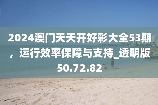 2024澳门天天开好彩大全53期，运行效率保障与支持_透明版50.72.82