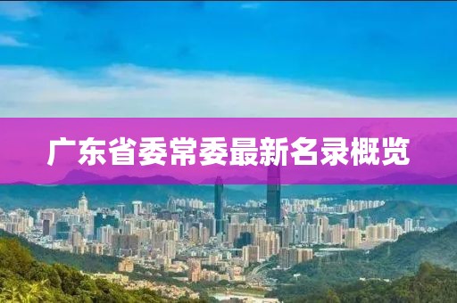 广东省委常委最新名录概览