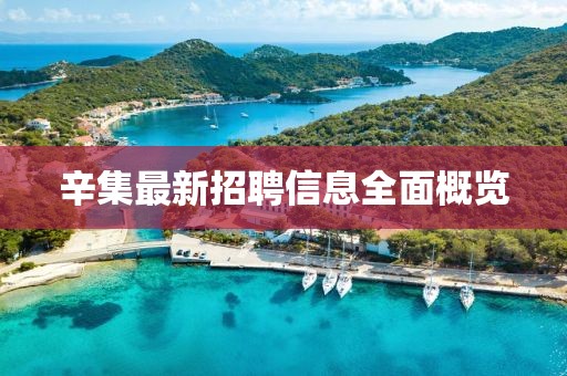 辛集最新招聘信息全面概览