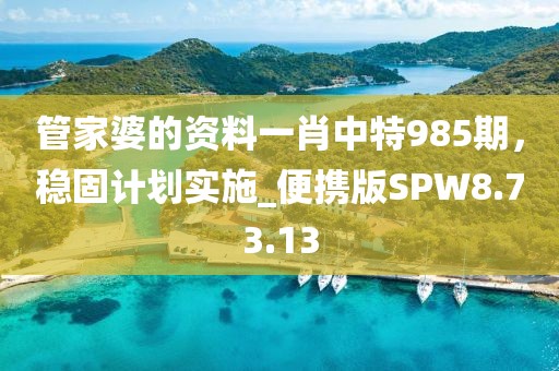 管家婆的资料一肖中特985期，稳固计划实施_便携版SPW8.73.13