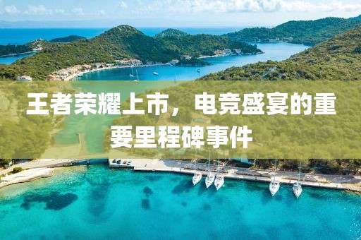 王者荣耀上市，电竞盛宴的重要里程碑事件