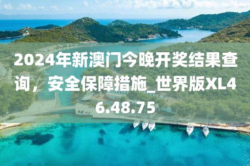 2024年新澳门今晚开奖结果查询，安全保障措施_世界版XL46.48.75