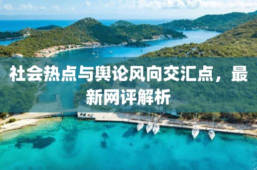 社会热点与舆论风向交汇点，最新网评解析