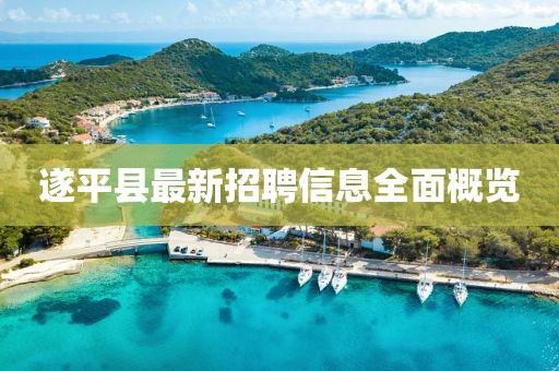 遂平县最新招聘信息全面概览