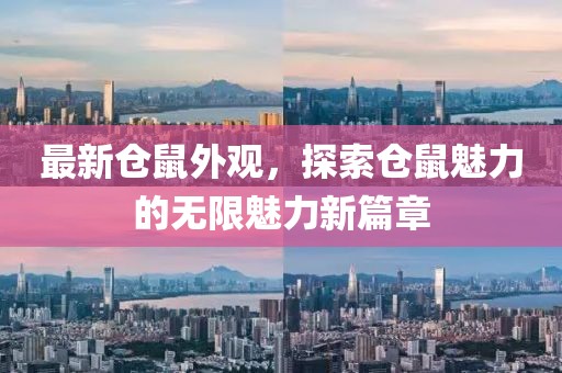 最新仓鼠外观，探索仓鼠魅力的无限魅力新篇章