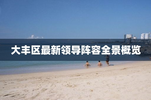 大丰区最新领导阵容全景概览