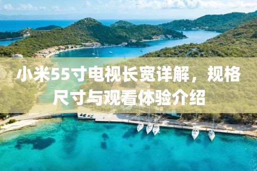 小米55寸电视长宽详解，规格尺寸与观看体验介绍